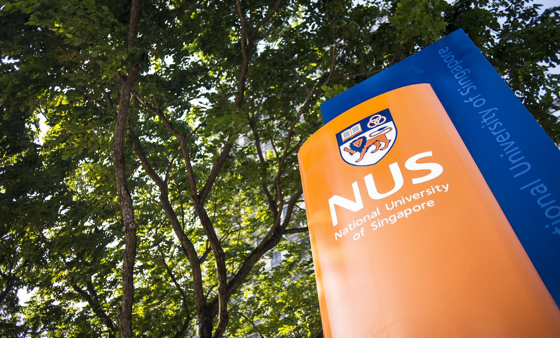 phd programs nus