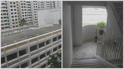 Spaces such as rooftops and stairways in high-rise buildings may unlock new sites for farming in land-scarce Singapore.