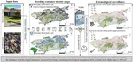 New paper: High-resolution mapping of urban Aedes aegypti immature abundance through breeding site detection based on satellite and street view imagery