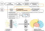 New paper: What is a Digital Twin anyway?