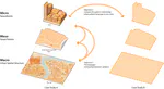 Formalising the urban pattern language: A morphological paradigm towards understanding the multi-scalar spatial structure of cities